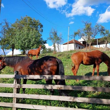 Апартаменты Poljoprivredno Turisticko Domacinstvo Deguric Валево Экстерьер фото