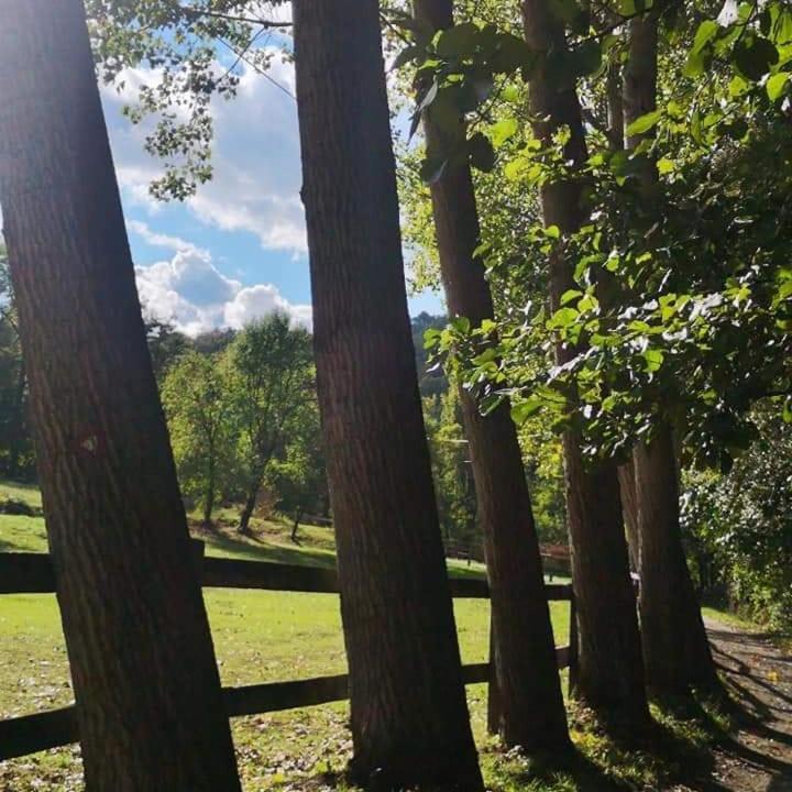 Апартаменты Poljoprivredno Turisticko Domacinstvo Deguric Валево Экстерьер фото